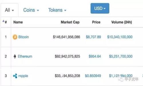 TP钱包如何支持Doge币及其公链的完整解析