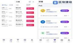 birutp密码忘记了的解决方案：从重置到恢复的全