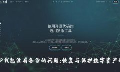 如何补救TP钱包没有备份的问题：恢复与保护数字