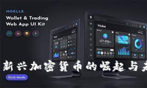 泰迪币：新兴加密货币的崛起与未来展望