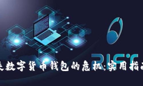 如何处理丢失数字货币钱包的危机：实用指南与应对策略