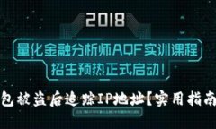 如何在TP钱包被盗后追踪IP地址？实用指南与预防