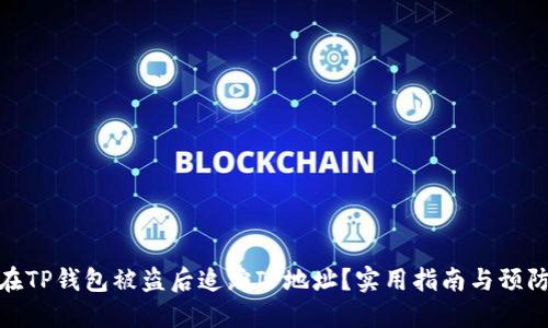 如何在TP钱包被盗后追踪IP地址？实用指南与预防措施