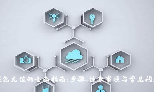 数字钱包充值的全面指南：步骤、注意事项与常见问题解答