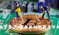 TP钱包中的数字资产：价格波动的因素分析与投资