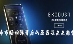 虚拟币市场回弹背后的原因及未来趋势分析