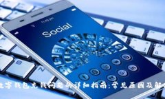 解决数字钱包充钱问题的详细指南：常见原因及
