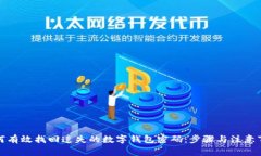 如何有效找回遗失的数字钱包密码：步骤与注意