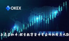 玉屏虚拟币：探索数字货币背后的机遇与风险