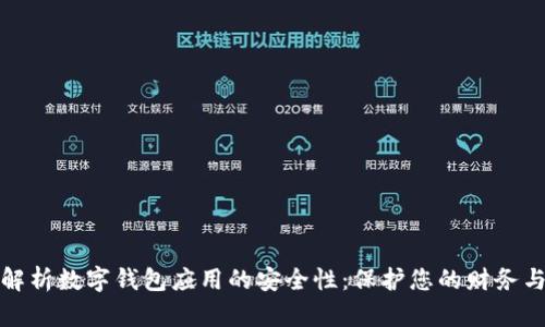 全面解析数字钱包应用的安全性：保护您的财务与隐私
