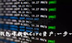 详解如何在TP钱包中提取Core资产：一步一步的操