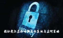 揭秘武汉虚拟币骗局的真相与应对策略