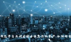 如何在虚拟货币钱包平台关闭后安全恢复你的资