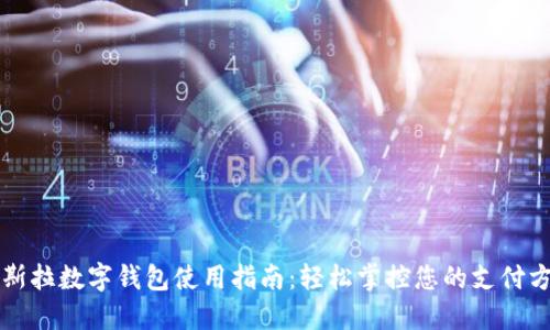 特斯拉数字钱包使用指南：轻松掌控您的支付方式