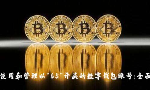 如何使用和管理以“65”开头的数字钱包账号：全面指南
