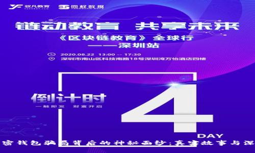 揭开加密钱包骗局背后的神秘面纱：真实故事与深度分析
