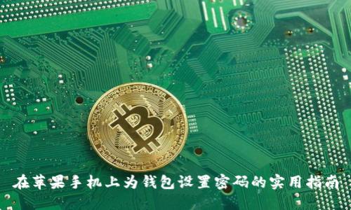 在苹果手机上为钱包设置密码的实用指南
