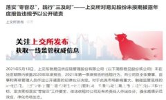 深入解析维尔币与比特币的区别：虚拟货币市场